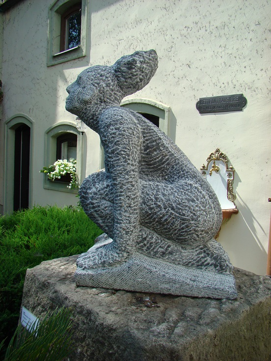 Hase
